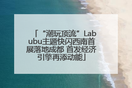 “潮玩顶流”Labubu主题快闪西南首展落地成都 首发经济引擎再添动能
