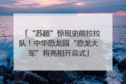“苏超”惊现史前拉拉队！中华恐龙园“恐龙大军”将亮相开幕式