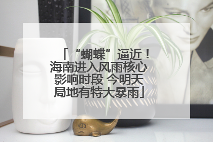 “蝴蝶”逼近！海南进入风雨核心影响时段 今明天局地有特大暴雨