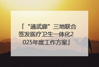 “通武廊”三地联合签发医疗卫生一体化2025年度工作方案