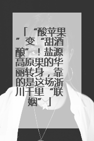 “酸苹果”变“甜酒酿”！盐源高原果的华丽转身，靠的是这场浙川千里“联姻”