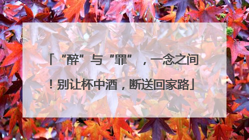 “醉”与“罪”，一念之间！别让杯中酒，断送回家路