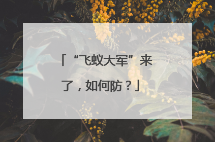 “飞蚁大军”来了，如何防？