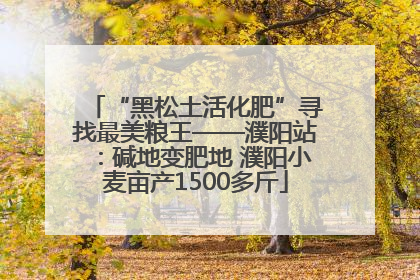 “黑松土活化肥”寻找最美粮王——濮阳站：碱地变肥地 濮阳小麦亩产1500多斤