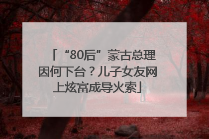“80后”蒙古总理因何下台？儿子女友网上炫富成导火索