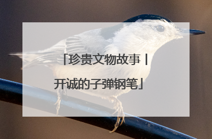珍贵文物故事丨开诚的子弹钢笔