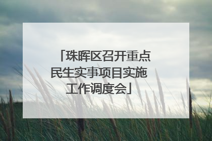 珠晖区召开重点民生实事项目实施工作调度会