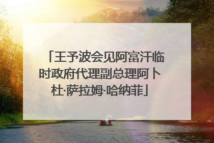 王予波会见阿富汗临时政府代理副总理阿卜杜·萨拉姆·哈纳菲