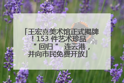 王宏喜美术馆正式揭牌！153 件艺术珍品 “ 回归 ” 连云港，并向市民免费开放