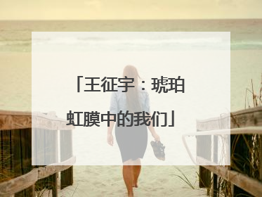 王征宇：琥珀虹膜中的我们