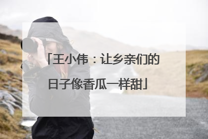 王小伟：让乡亲们的日子像香瓜一样甜