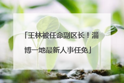 王林被任命副区长！淄博一地最新人事任免