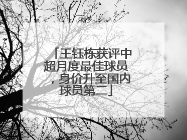 王钰栋获评中超月度最佳球员，身价升至国内球员第二