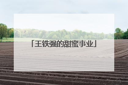 王铁强的甜蜜事业