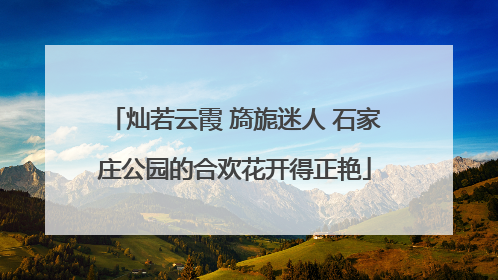 灿若云霞 旖旎迷人 石家庄公园的合欢花开得正艳