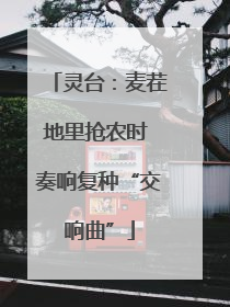 灵台：麦茬地里抢农时 奏响复种“交响曲”