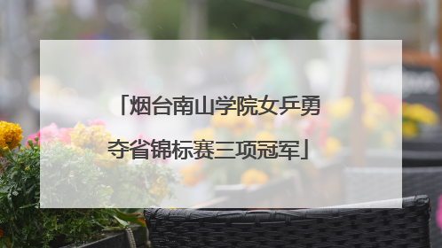 烟台南山学院女乒勇夺省锦标赛三项冠军