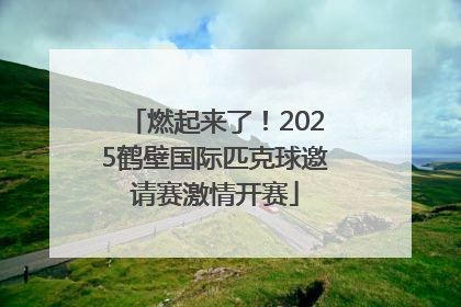 燃起来了！2025鹤壁国际匹克球邀请赛激情开赛