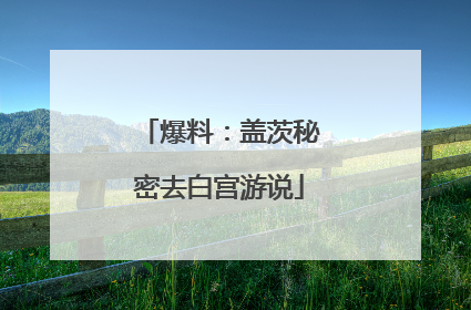 爆料：盖茨秘密去白宫游说
