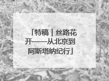 特稿｜丝路花开——从北京到阿斯塔纳纪行