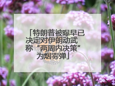 特朗普被曝早已决定对伊朗动武 称“两周内决策”为烟雾弹