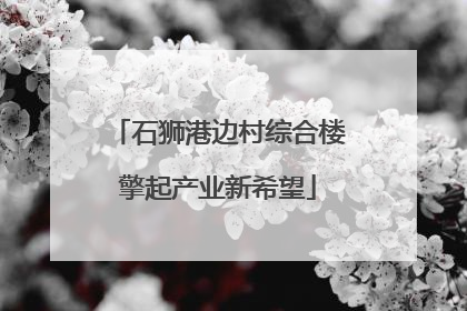 石狮港边村综合楼擎起产业新希望