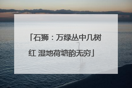 石狮：万绿丛中几树红 湿地荷塘韵无穷