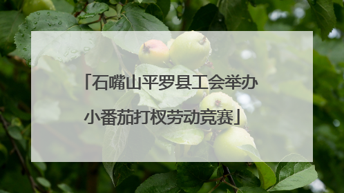 石嘴山平罗县工会举办小番茄打杈劳动竞赛