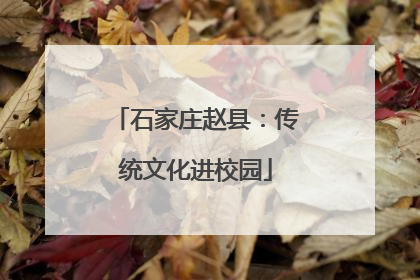 石家庄赵县：传统文化进校园