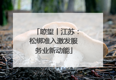 瞭望丨江苏：松绑准入激发服务业新动能