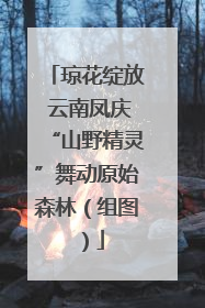琼花绽放 云南凤庆“山野精灵”舞动原始森林（组图）