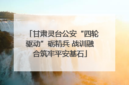 甘肃灵台公安“四轮驱动”砺精兵 战训融合筑牢平安基石