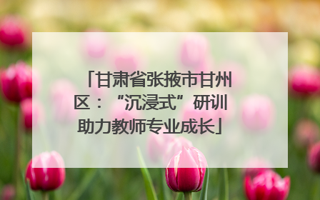 甘肃省张掖市甘州区：“沉浸式”研训助力教师专业成长