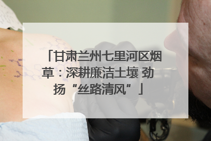 甘肃兰州七里河区烟草：深耕廉洁土壤 劲扬“丝路清风”