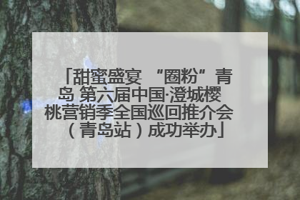 甜蜜盛宴 “圈粉”青岛 第六届中国·澄城樱桃营销季全国巡回推介会（青岛站）成功举办