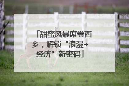 甜蜜风暴席卷西乡，解锁“浪漫+经济”新密码