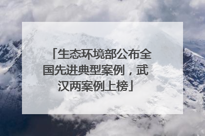 生态环境部公布全国先进典型案例，武汉两案例上榜