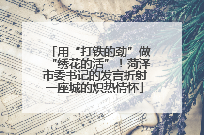 用“打铁的劲”做“绣花的活”！菏泽市委书记的发言折射一座城的炽热情怀