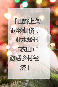 田野上架起彩虹桥：三亚水蛟村“农田+”激活乡村经济