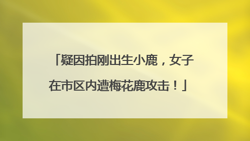 疑因拍刚出生小鹿，女子在市区内遭梅花鹿攻击！