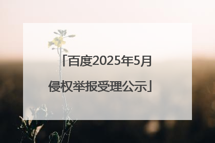 百度2025年5月侵权举报受理公示