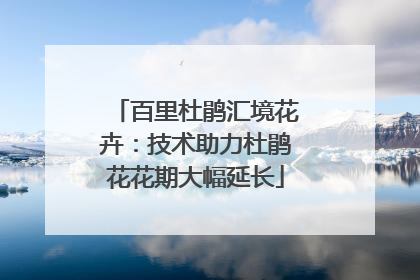 百里杜鹃汇境花卉：技术助力杜鹃花花期大幅延长