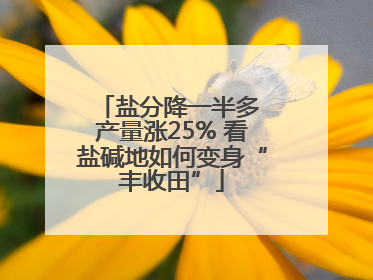 盐分降一半多 产量涨25% 看盐碱地如何变身“丰收田”