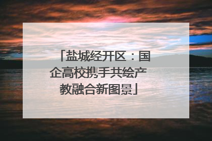 盐城经开区：国企高校携手共绘产教融合新图景