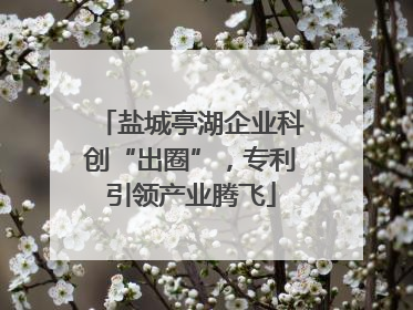 盐城亭湖企业科创“出圈”，专利引领产业腾飞