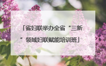 省妇联举办全省“三新”领域妇联赋能培训班