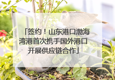 签约！山东港口渤海湾港首次携手国外港口开展供应链合作