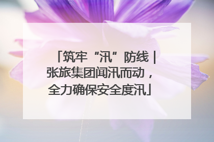 筑牢“汛”防线｜张旅集团闻汛而动，全力确保安全度汛