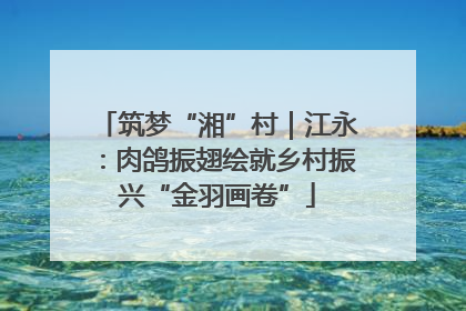 筑梦“湘”村｜江永：肉鸽振翅绘就乡村振兴“金羽画卷”