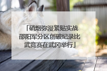 硝烟弥漫紧贴实战 邵阳军分区创破纪录比武竞赛在武冈举行
